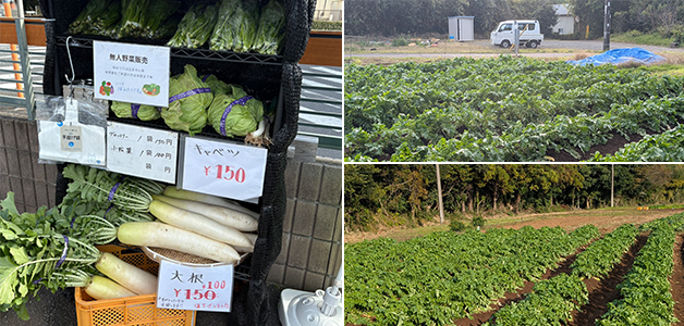 軽作業・袋詰め作業