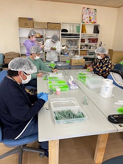 軽作業・袋詰め作業